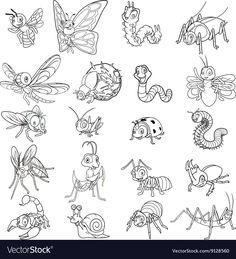 cartoon bugs and insects for coloring pages stock photo, images and royalty freehanded