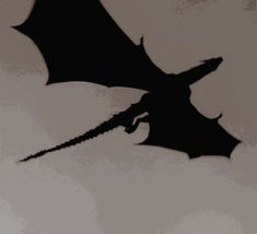 a black dragon flying through the sky