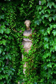 a statue is surrounded by green leaves and ivys in the shape of a woman's head