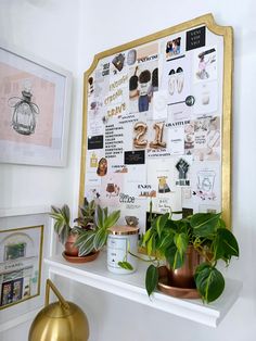 some plants are sitting on top of a shelf in front of a gold framed wall