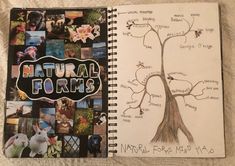 an open notebook with pictures of animals and trees on it, along with the words natural forms