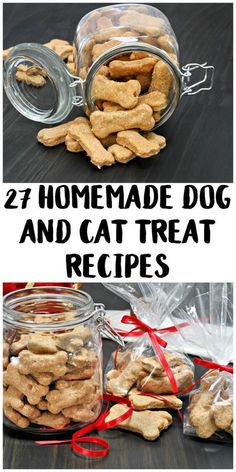 homemade dog and cat treat recipe in a jar