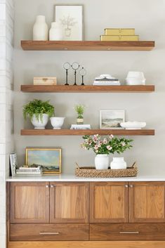 some shelves with plants and pictures on them