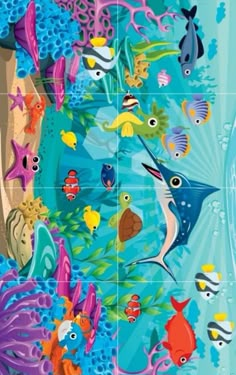 an underwater scene with many different types of fish and corals on the bottom half of it