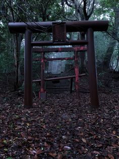 an old wooden structure sitting in the middle of a forest filled with lots of leaves