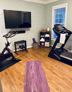 a home gym with treadmills, exercise bikes and a flat screen tv