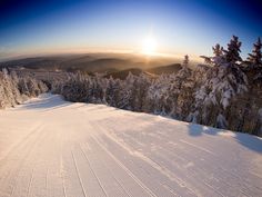 the sun shines brightly in the distance over a snow covered slope with trees on both sides