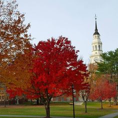 trees with red and yellow leaves in front of a white church steeple on a clear day