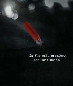 a red feather floating on top of a black background with the words in the end, pronoises are just words