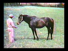 a man standing next to a horse in a field