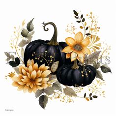 a painting of pumpkins and flowers on a white background