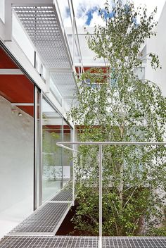 a tree in the middle of a courtyard with metal grates on the ground below