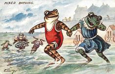 two frogs are playing in the water with each other and one frog is wearing a bathing suit