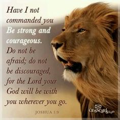 an image of a lion with the words, have i not commanded you be strong and courageous