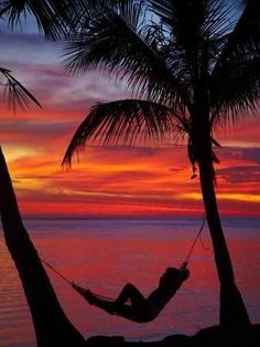 a person laying in a hammock between two palm trees on the beach at sunset