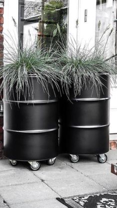 two large black barrels with plants in them