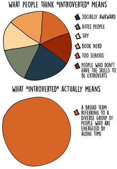 Introvert Personality, Introvert Problems, Introverts Unite, Introvert Quotes, Introvert Humor, Infj Personality, Socially Awkward, Charts And Graphs, Hate People