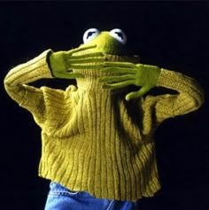 Fraggle Rock, The Muppet Show, Miss Piggy, Kermit The Frog, Jim Henson, The Frog, Sesame Street, Reaction Pictures, Dive In