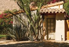 a small building with a cactus next to it in front of some trees and bushes