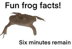 a poster with an image of a frog flying through the air and captioning six minutes remain