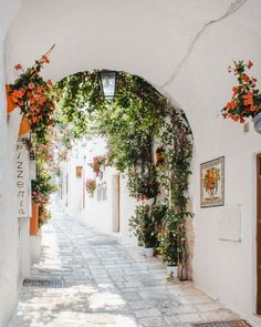 an alley way with potted plants and flowers on either side, leading to the entrance