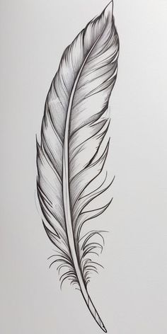 a black and white drawing of a feather