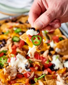 a hand holding a tortilla chip with black beans, cheese and jalapeno peppers