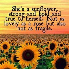 a sunflower field with a quote on it