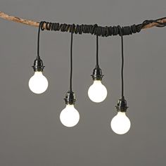 five light bulbs hanging from a tree branch