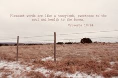 a fence that is in front of a field with snow on the ground and a quote written above it