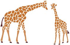 two giraffes standing next to each other on a white background