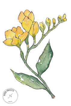 a drawing of yellow flowers with green leaves