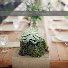 the table is set with white plates and place settings, including an arrangement of succulents