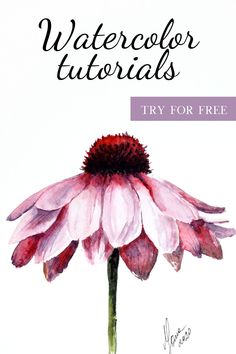 a watercolor drawing of a pink flower with the words watercolor tutors try for free