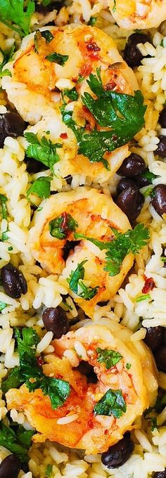 rice with black beans and shrimp on it