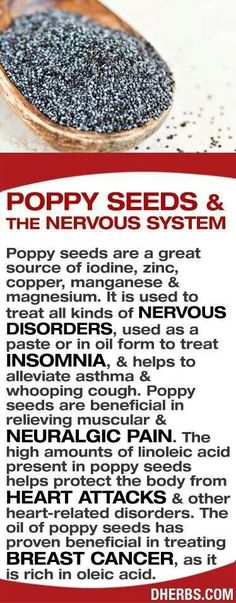 Poppy seeds Poppy Seed Benefits, Lyme Pain, Aries Spring, Seed Benefits, True Vine, Super Sunday, Green Earth, Food Info