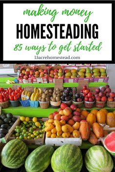 85 Ways you can make money from your homestead. Low Stomach Acid, Organic Groceries, Stomach Acid, Healthy Vegetables, Healthy Fruits, Immune Health, Healthy Eating Habits, Food Industry, Shampoos