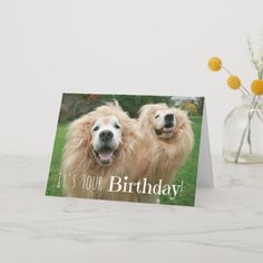 two golden retriever dogs are looking at the camera while greeting someone with a happy birthday card