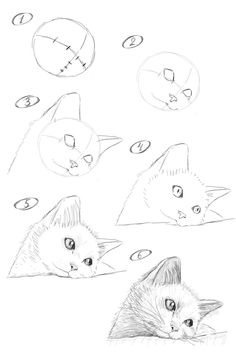 How to draw a sad kitten. Step-by-step drawing lesson.