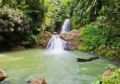 a small waterfall in the middle of a forest