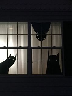 two cats are looking out the window at each other in the dark, with light coming from behind them