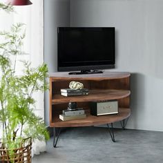 a flat screen tv sitting on top of a wooden shelf next to a potted plant