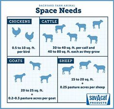 a poster showing how to feed animals in space