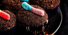 chocolate cupcakes with candy worms on top