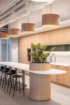 a long table and chairs in a room with lights on the ceiling above it, along with hanging plants