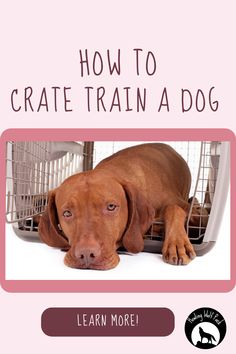 a brown dog laying on top of a cage next to a pink sign that says how to crate train a dog