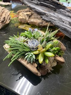 an arrangement of succulents and other plants on a table