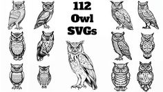 twelve owls are shown in black and white, with the words 12 owl svos