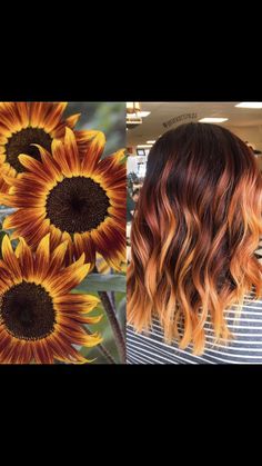 Sunflower Hair Color Ideas, Ombre Hair Color Auburn, Summer Hair Colour For Brunettes, Winter Inspired Hair Color, Sunflower Balayage Hair, Cute Winter Hair Colors, Summer 2023 Hair Trends Color, Bold Hair Colors For Pale Skin, Yellow Highlights In Brown Hair