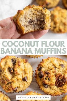 coconut floured banana muffins with chocolate chips in the middle and on top